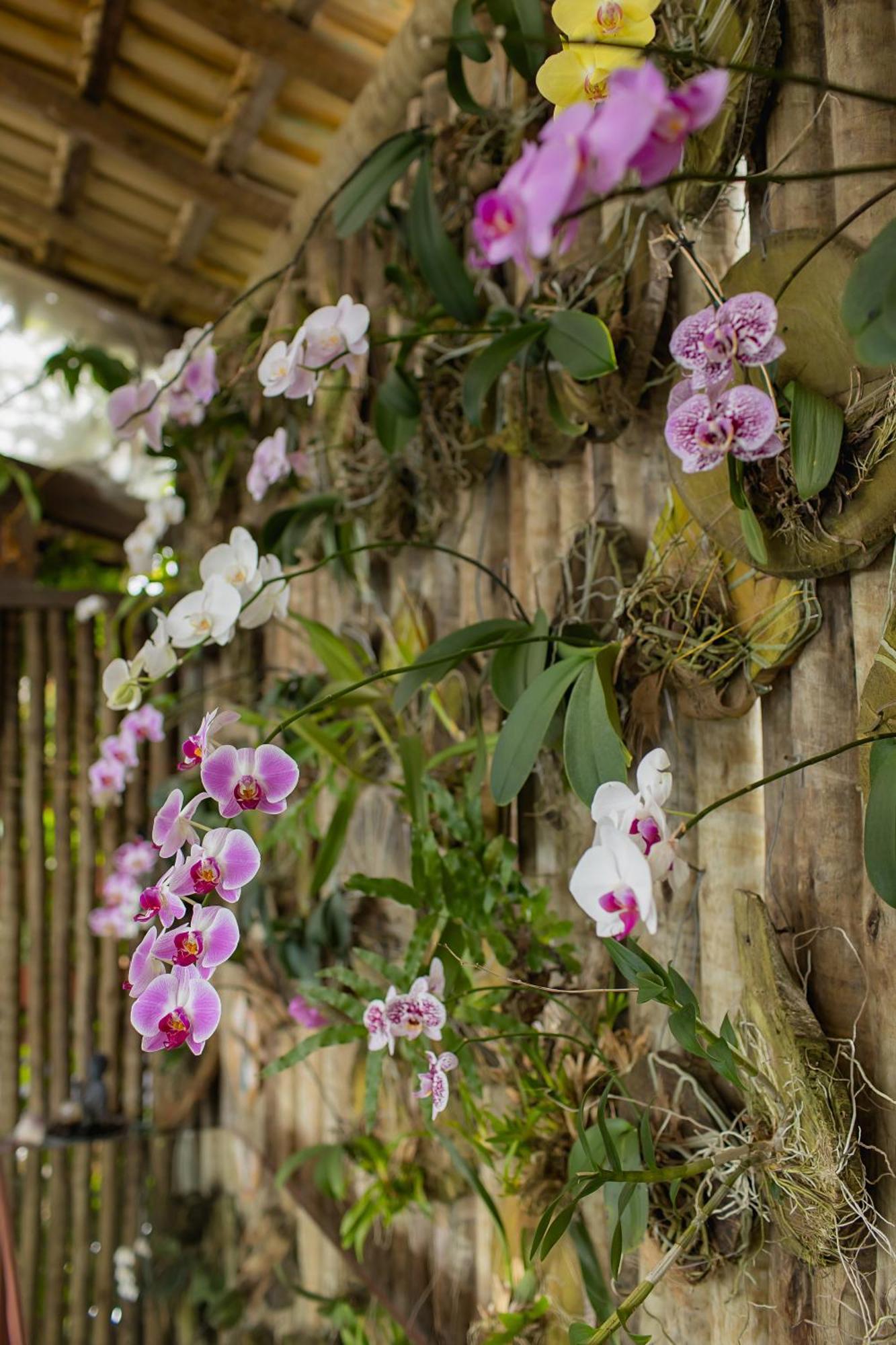 Orquidea Cafe Hotell Guarapari Exteriör bild